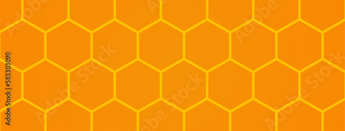 Honeycomb beehive with hexagon grid cells.