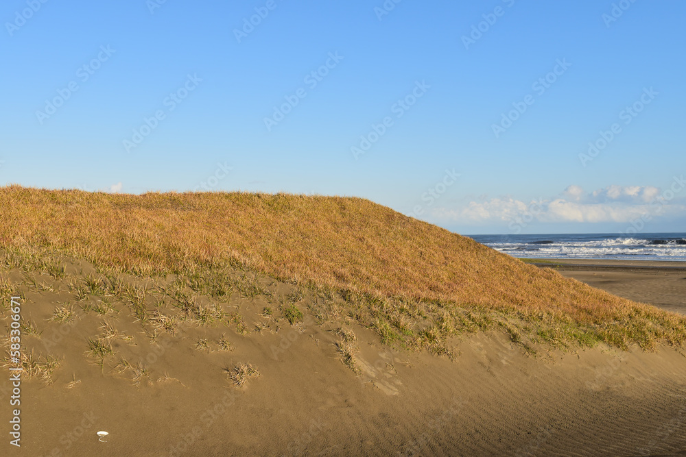 白い雲、青い空、海の前にある砂の山に草が生えていました。