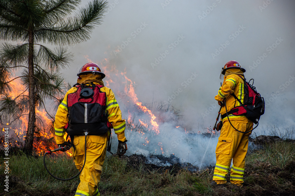 firefighters in action firefighters in action