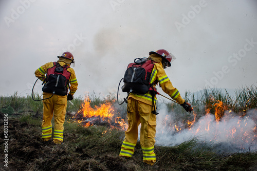 firefighters in action