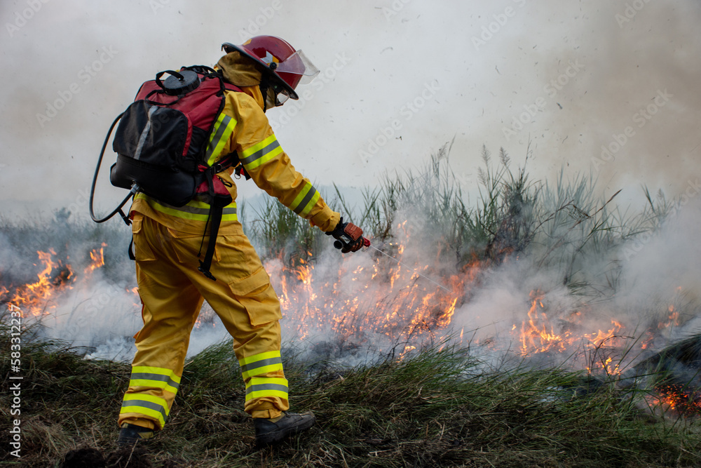 Naklejka premium firefighter in action