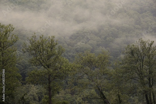 Fototapeta Naklejka Na Ścianę i Meble -  Foggy views while camping at the New River in southwest Virginia