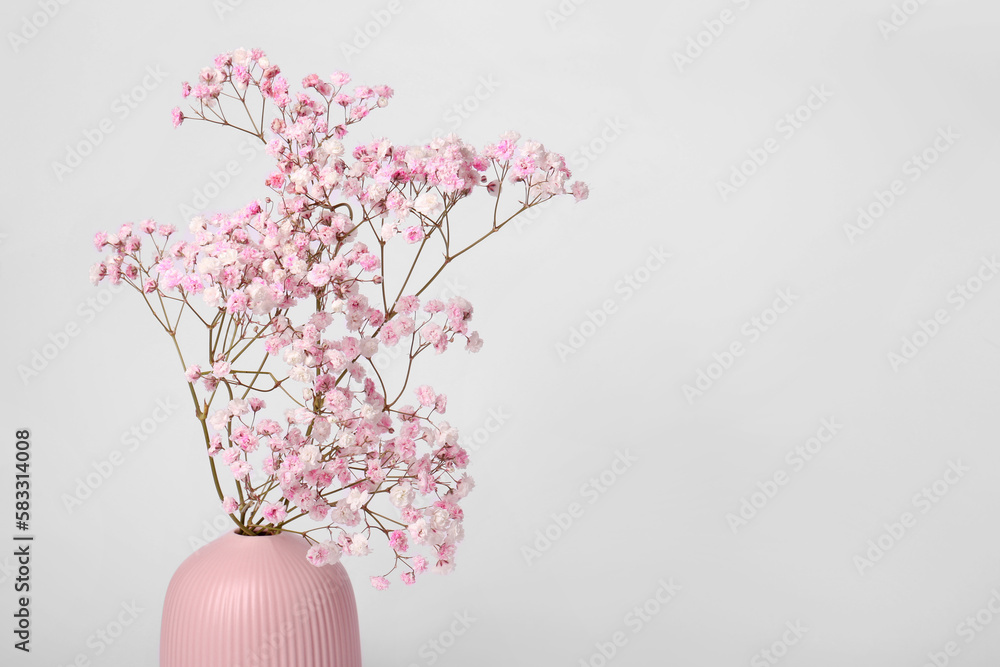 Obraz premium Beautiful gypsophila flowers in pink vase on white background