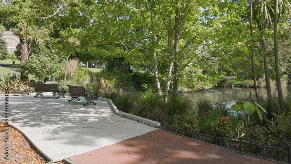Auckland domain duck pond, New Zealand Auckland domain duck pond, New Zealand