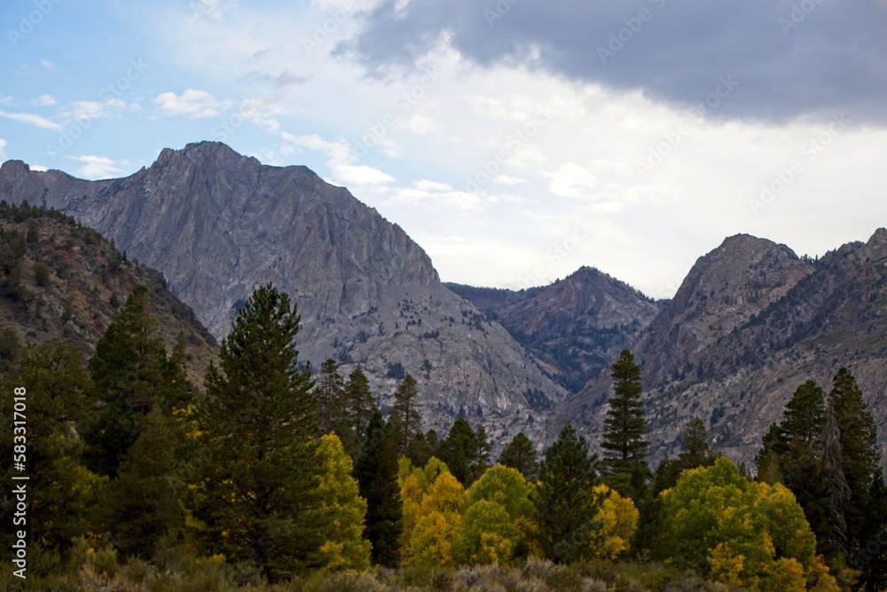 Driving through June Lake loop in the Eastern Sierra, where towering mountains loom overhead and fall colors begin to show on some of the trees at their base.