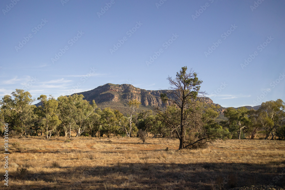 Fototapeta premium aussie outback adventure 6