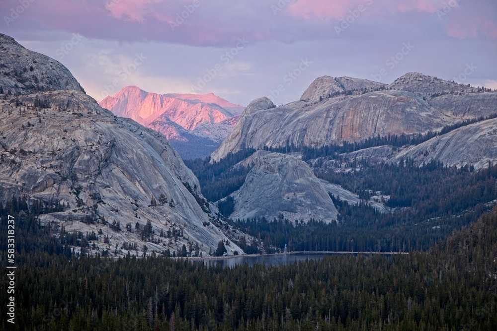 The high country of Yosemite glows in purple and pinkish tones with towering rock formations in the backgorund and Tenaya Lake in the foreground