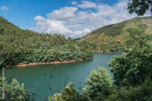 Blurred wild flowers and vegetation on the bank of the river Zezere with pine forest mountain, Dornes PORTUGAL