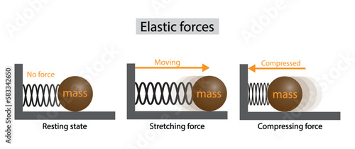 illustration of physics, elastic forces, Elastic force, stretch, resting, compressed tension. Elasticity potential energy graphic, Elastic force