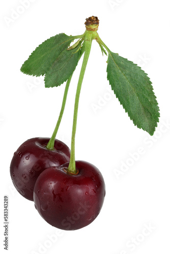 Cherries with leaves