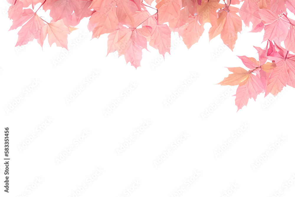 Pink Leaves Branch Isolated On White Background Pink Leaves Branch Isolated On White Background