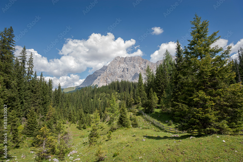 Meadows and forest of Norway spruce, Picea abies, in the Mieming Range, State of Tyrol, Austria