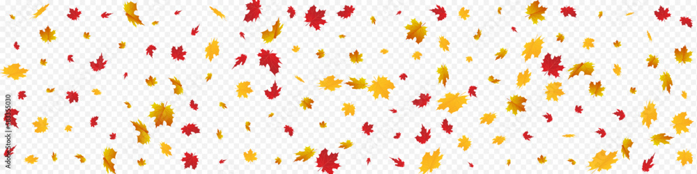 Yellow Leaves Vector Panoramic Transparent Yellow Leaves Vector Panoramic Transparent