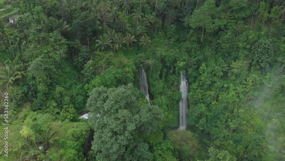 Stunning Fiji Waterfall hidden in lush green tropical jungle Bali, aerial Stunning Fiji Waterfall hidden in lush green tropical jungle Bali, aerial