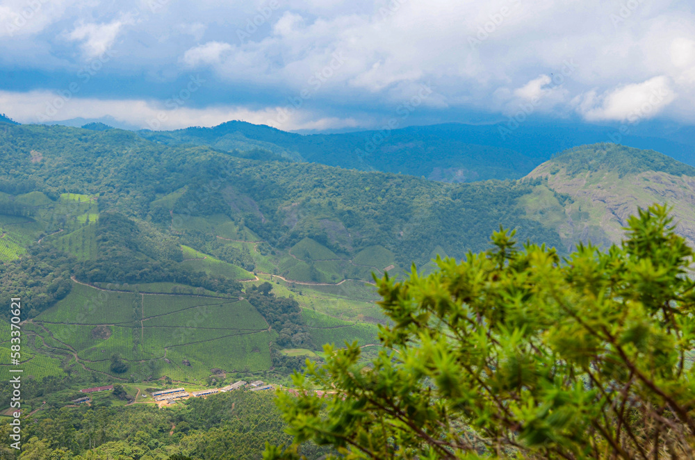 Misty mountains of Munnar Misty mountains of Munnar