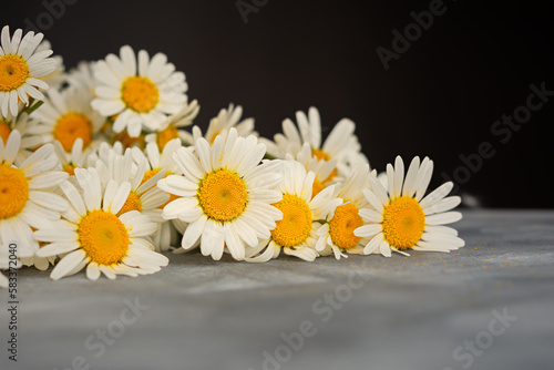 White daisies close-up on the table. Warm sunlight soft focus  macro yellow stamens. The concept of tenderness purity and innocence. Fragile romantic flowers. Healing wildflowers for natural cosmetics