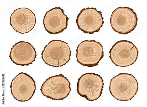 Tree trunks, wood cut. Forest tree stump log cross-section pattern, firewood woodcut cartoon vector sections set or pine trunk slice texture. Timber wood, firewood isolated cuts with plant age rings