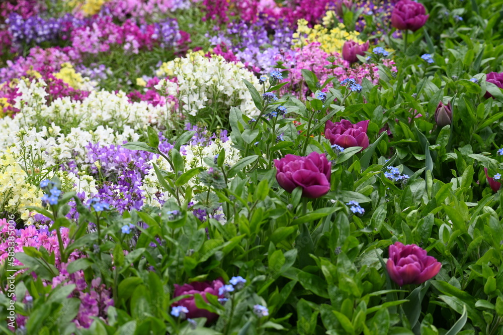 花壇 花壇