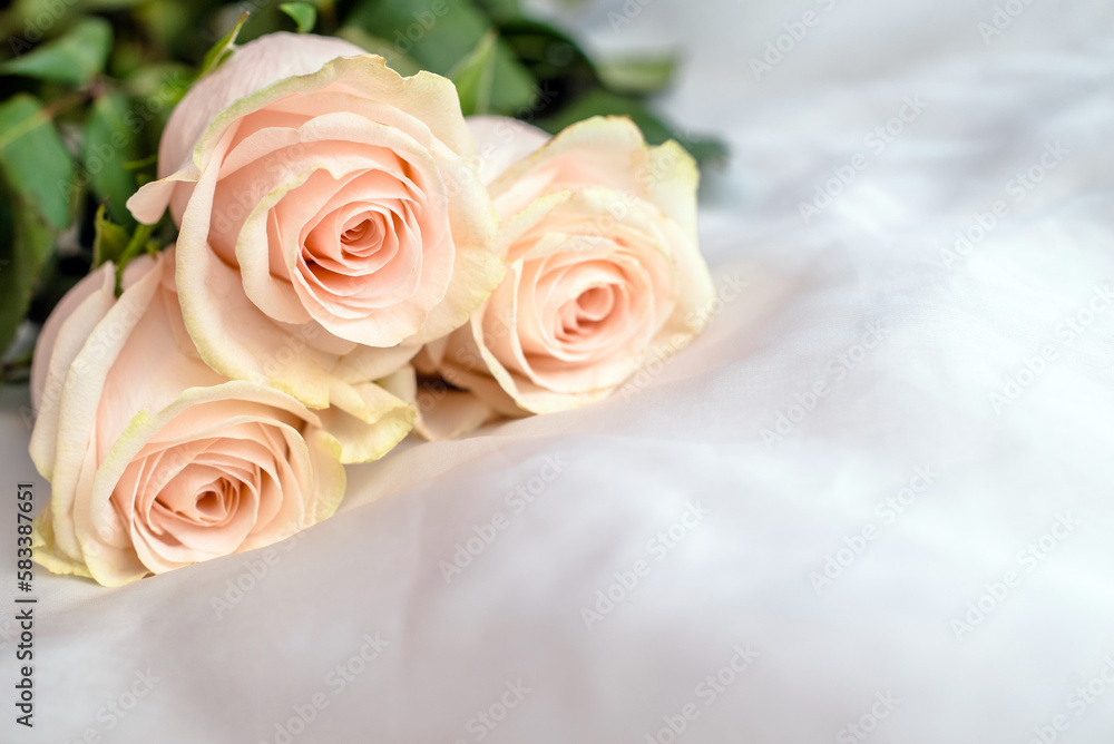 The branch of pink roses on white fabric background The branch of pink roses on white fabric background