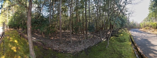 Wallpaper Mural 山陰海岸国立公園　かぶと山の原野　ドローンパノラマ撮影 Torontodigital.ca