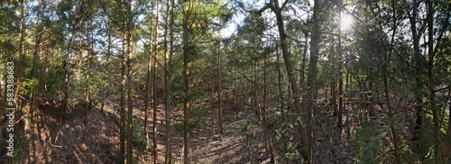 Wallpaper Mural 山陰海岸国立公園　かぶと山の原野　ドローンパノラマ撮影 Torontodigital.ca