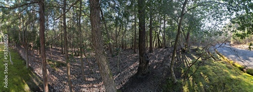 Wallpaper Mural 山陰海岸国立公園　かぶと山の原野　ドローンパノラマ撮影 Torontodigital.ca