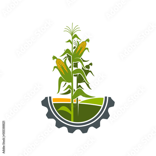 Agriculture icon, field of corn in cogwheel circle, farmland and farmhouse vector symbol. Corn harvest with cobs on green plant emblem for agriculture and agrarian industry or farming technology