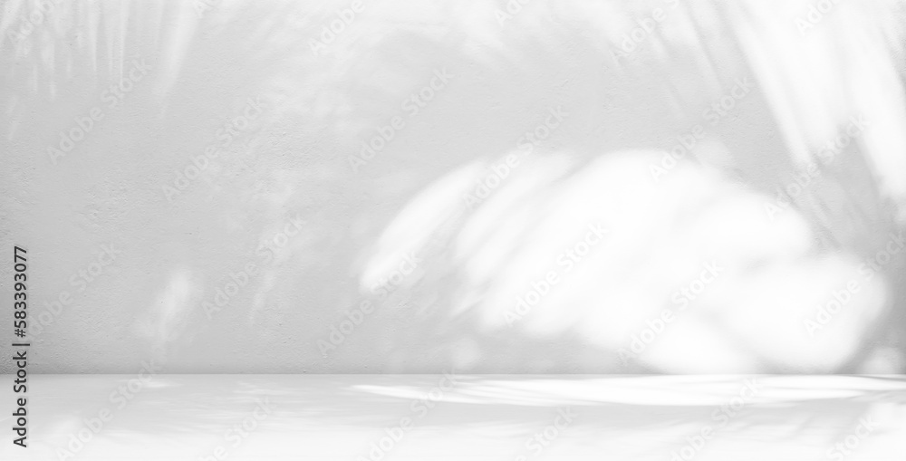Fototapeta premium Shadow Studio Room Background,Abstract Sun Light Overlay Leaf Nature on Cement Wall Floor Kitchent Counter Bar Shelf Desk Template Workplace,Loft Marble Table Interior Space Workshop Concrete Texture.