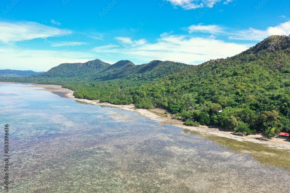 Panorama drone shot of paradisiacal beach in Coron, Philippines, along which are palm trees and large hills covered with trees.