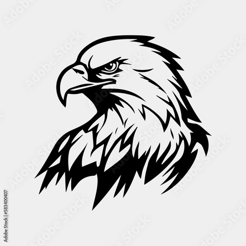 eagle head vector illustration, can be used for mascot, logo, apparel and more