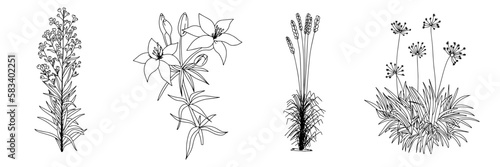 Wallpaper Mural Set of outline flowers. A drawing of a plant with flowers and leaves. Vector illustration Torontodigital.ca