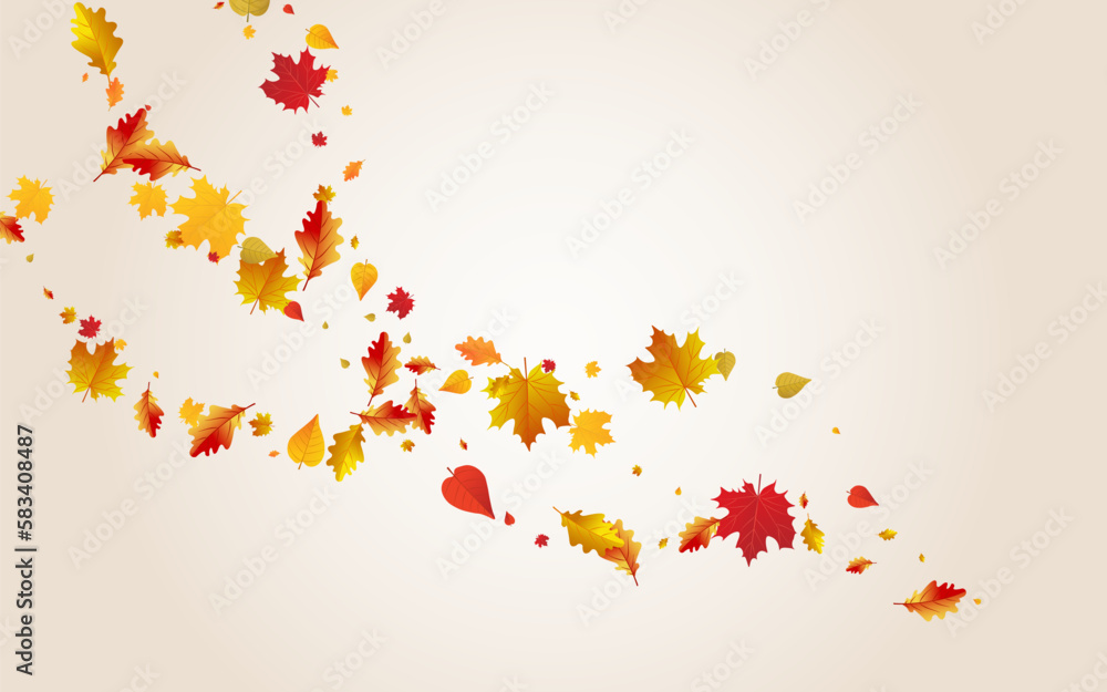 Yellow Floral Vector Transparent Background.