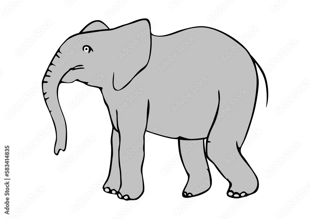 Fototapeta premium Elephant