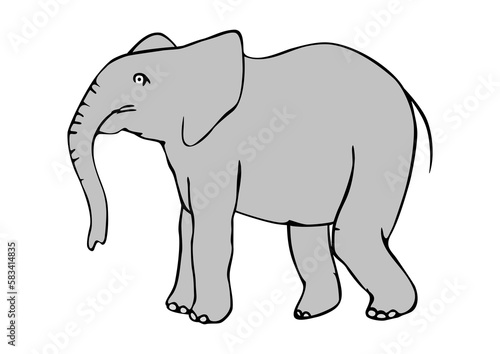 Elephant