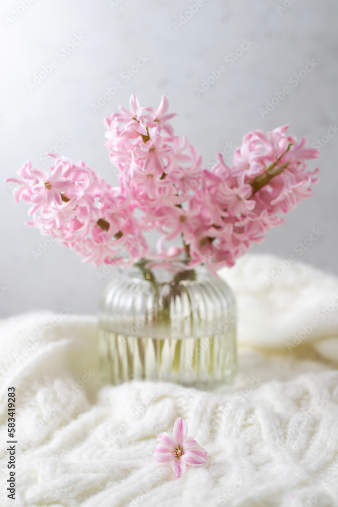Pink hyacinth flower on a light background Pink hyacinth flower on a light background