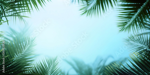 palm leaves frame on light blue background  summer banner advertising concept  background