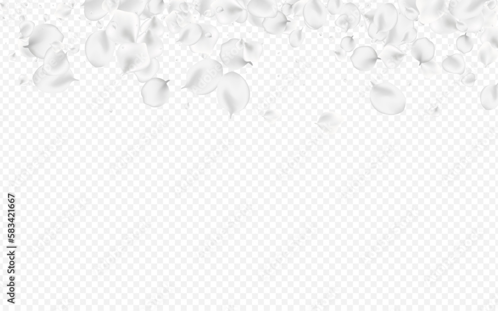 White Peach Vector Transparent Background. Snowy White Peach Vector Transparent Background. Snowy