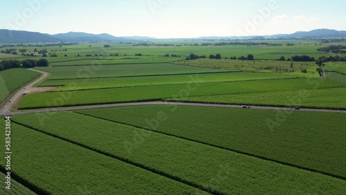 Aerial view over cane fields in Murwillumbah, Tweed Valley, Northern New South Wales photo