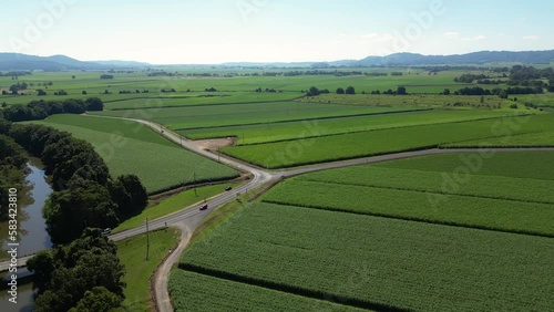 Aerial view over cane fields in Murwillumbah, Tweed Valley, Northern New South Wales photo