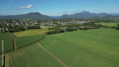 Aerial view over cane fields in Murwillumbah, Tweed Valley, Northern New South Wales photo