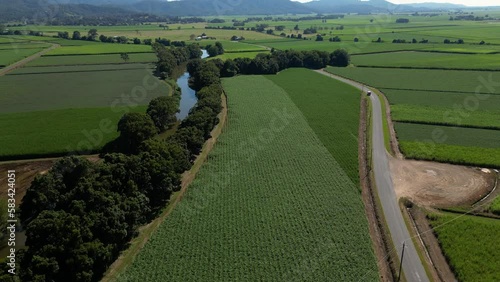 Aerial view over cane fields in Murwillumbah, Tweed Valley, Northern New South Wales photo