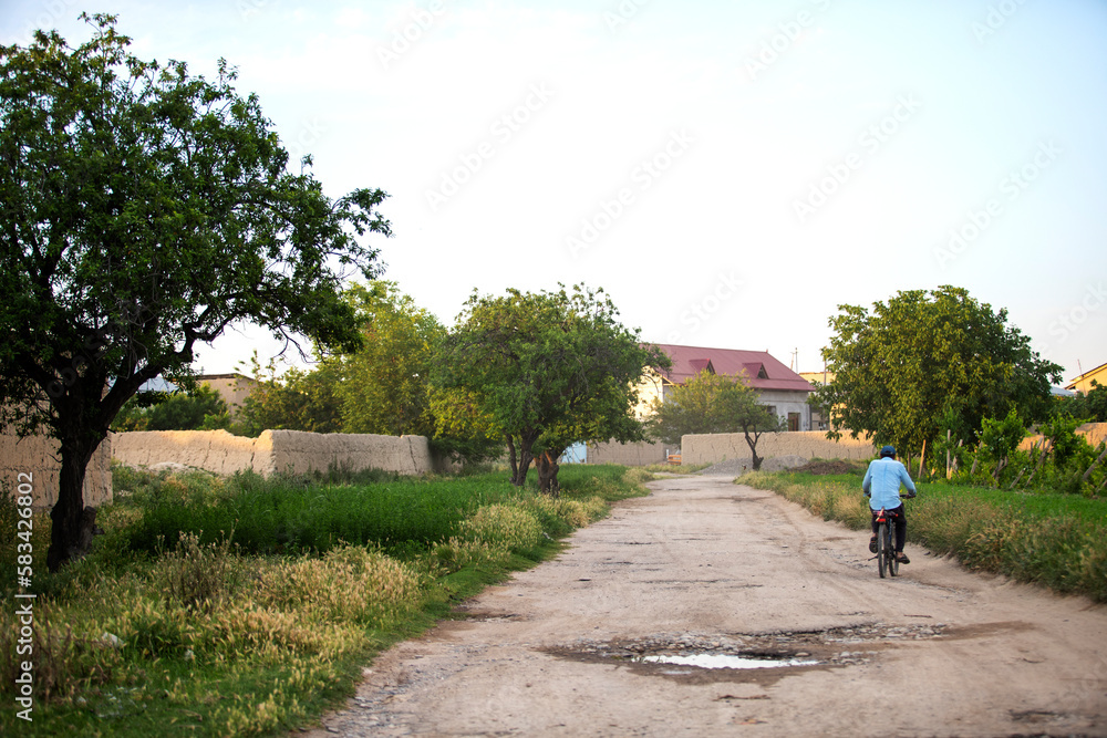 Village, trees, path, man on a bicycle
