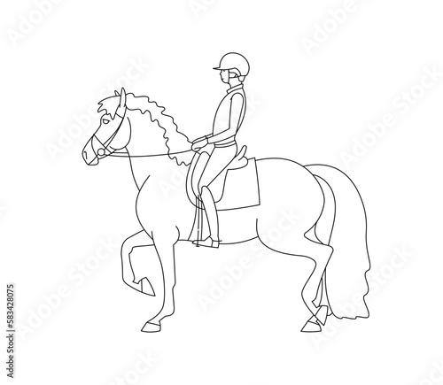 Rider rides a heavy horse, hobby equestrian sport