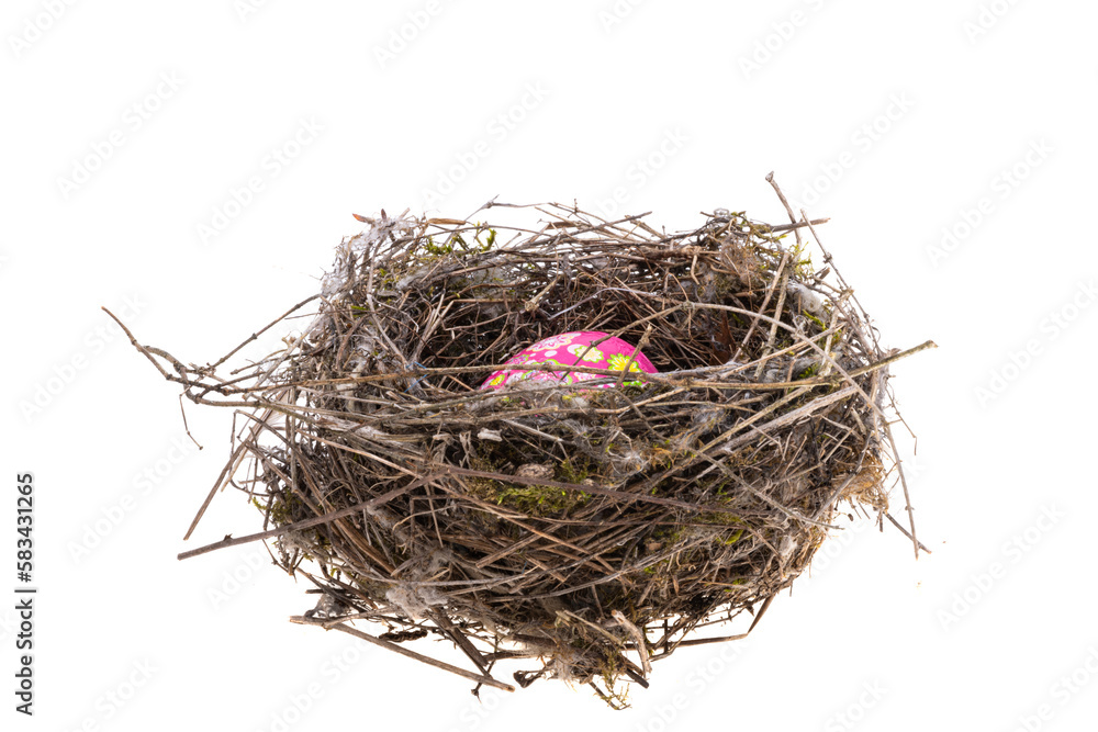 Obraz premium bird's nest isolated