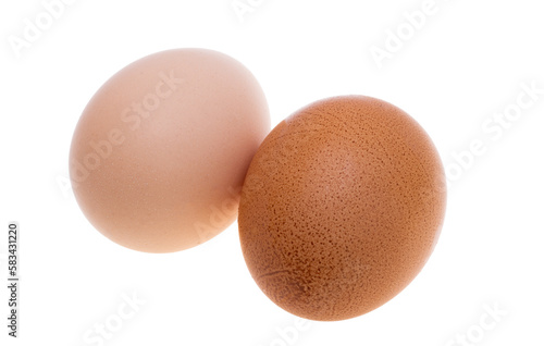 chicken egg isolated