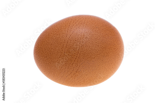 chicken egg isolated