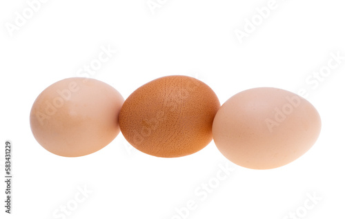 chicken egg isolated