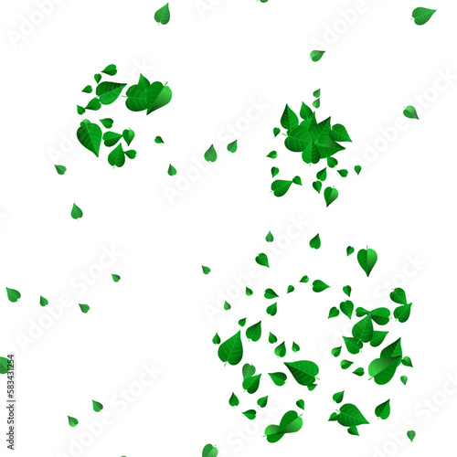 Grassy Leaf Nature Vector White Background