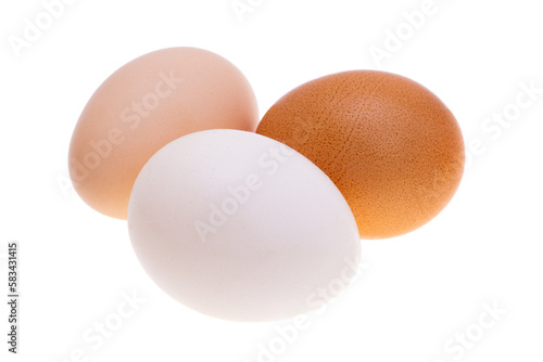 chicken egg isolated