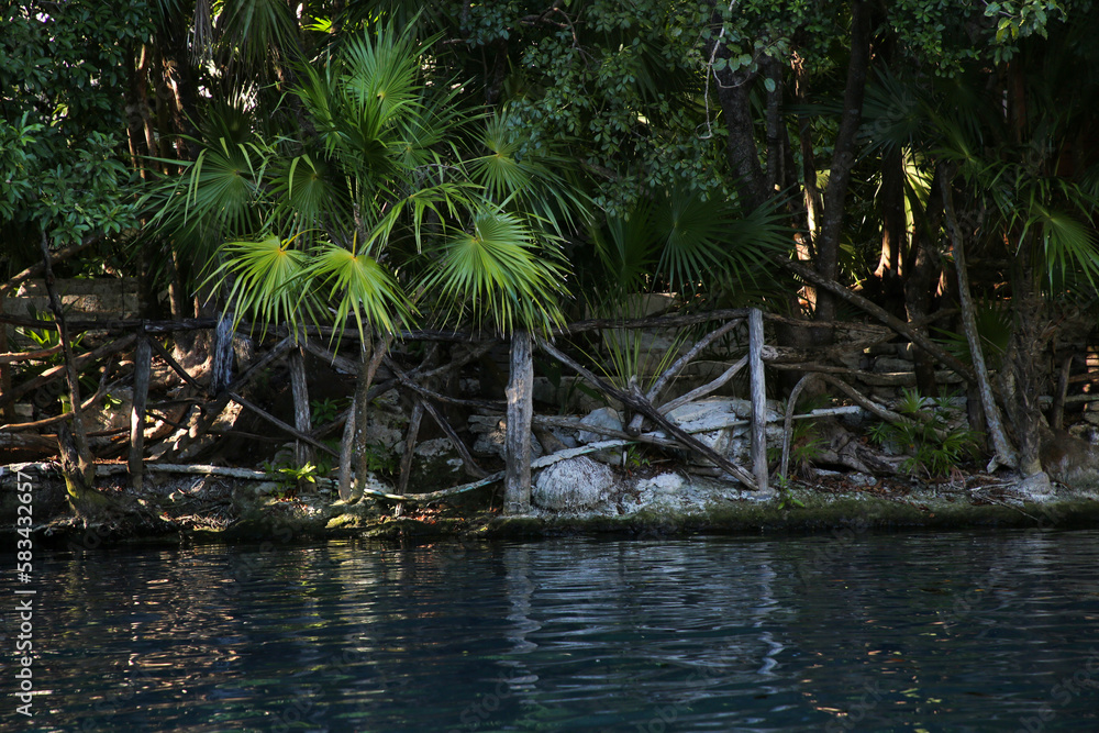 Picturesque view of beautiful lake in jungle Picturesque view of beautiful lake in jungle